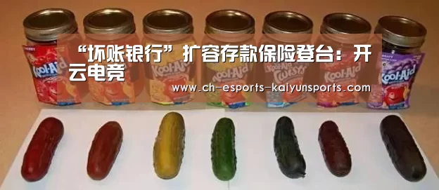“坏账银行”扩容存款保险登台:开云电竞(图2) 开云电竞官网
