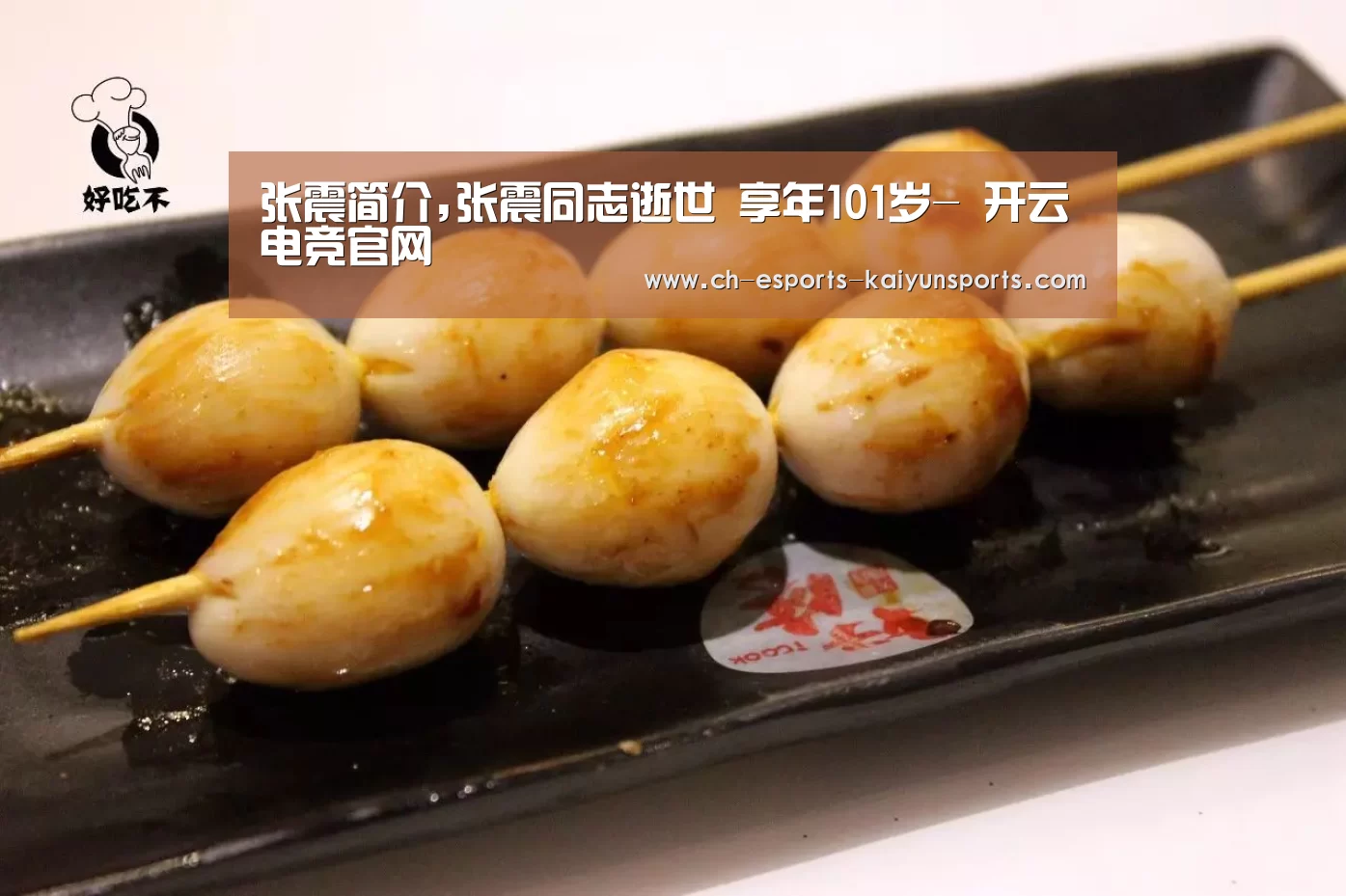 张震简介,张震同志逝世 享年101岁- 开云电竞官网(图1) kaiyun电竞