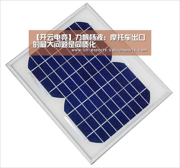 【开云电竞】力帆杨波:摩托车出口的最大问题是同质化(图1) 开云电竞
