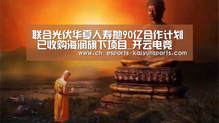 联合光伏华夏人寿抛90亿合作计划 已收购海润旗下项目_开云电竞(图1) kaiyun电竞